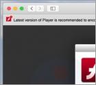 "Adobe Flash Player" Is Out Of Date POP-UP Truffa (Mac)