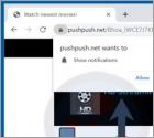 Pushpush.net Ads
