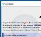 Chinz Ransomware