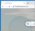 Burst Search Browser Hijacker (Dirottatore)