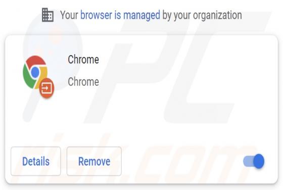 Falsa Estensione "Chrome"