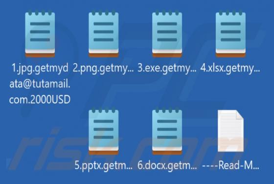 2000USD Ransomware