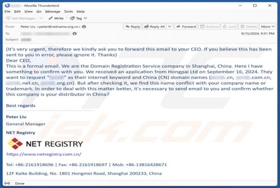 Domain/Company Name Conflict Email Truffa