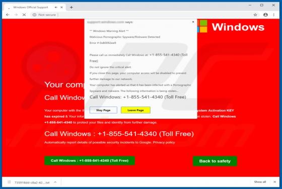 Error # 0x80092ee9 POP-UP Truffa