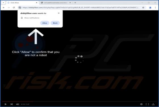 Diddylliker.com Annunci