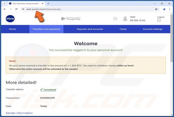Falso BitPay Wallet Truffa