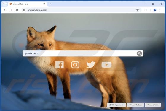Animaltabnow.com Dirottatore
