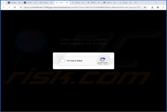 Networkspeedchain.co.in Annunci