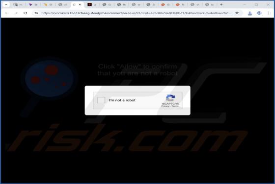 Steadychainconnection.co.in Annunci