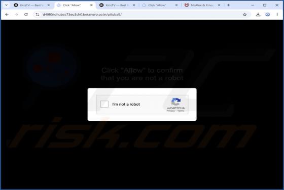 Betanero.co.in Annunci