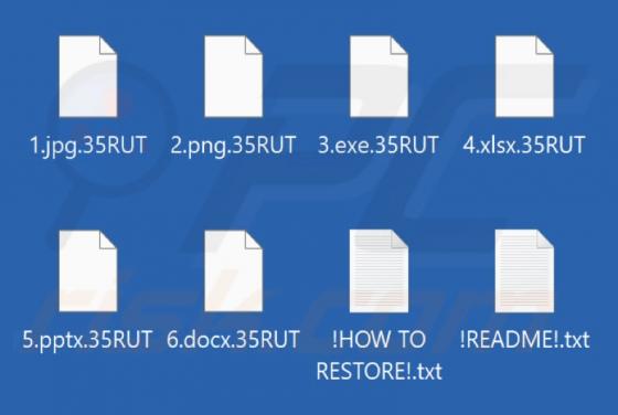 VantaBlack Ransomware