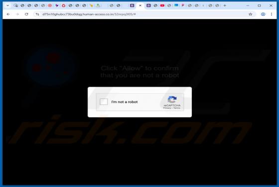 Annunci di Human-access.co.in