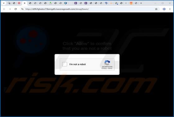 Annunci di Risecoregrowth.com