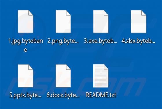 ByteBane Ransomware