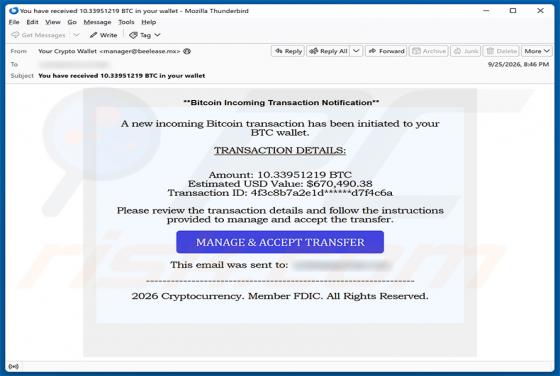 Incoming Bitcoin Transaction truffa via email