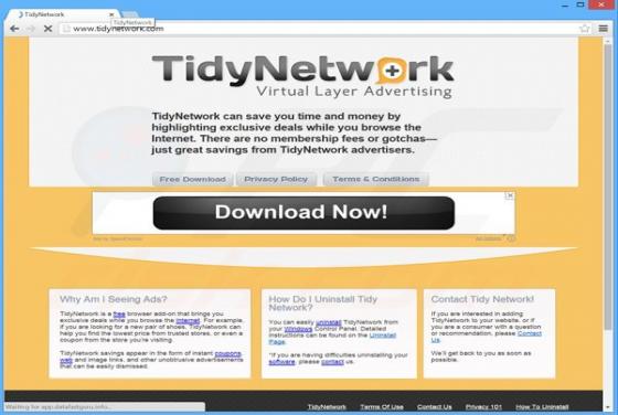 TidyNetwork pubblicità