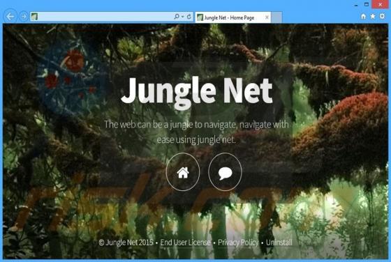 Annunci di Jungle Net