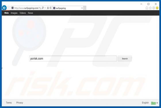 Surfpageing.com Dirottatore