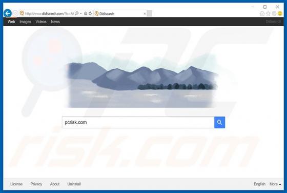 Didisearch.com Dirottatore