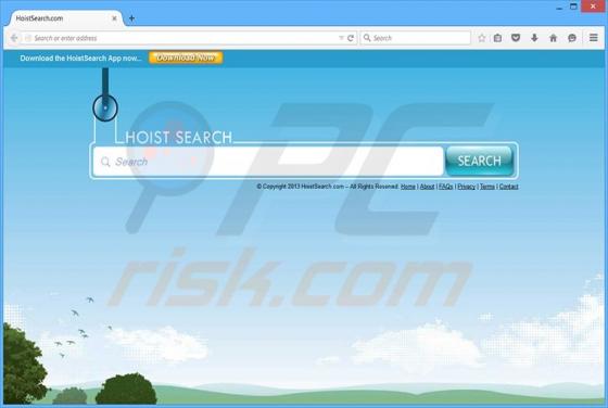 HoistSearch.com Dirottatore