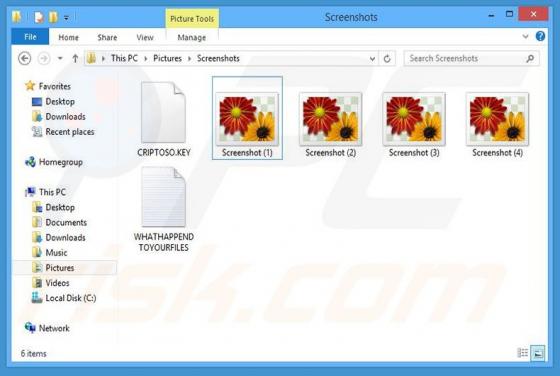 Salam! Ransomware