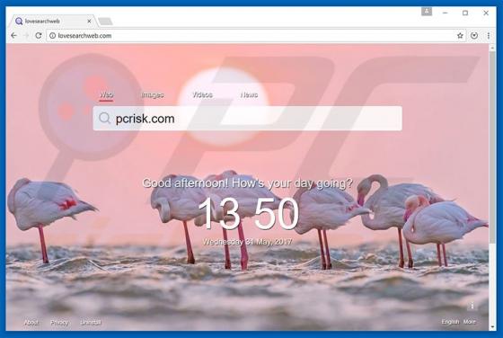 Lovesearchweb.com Dirottatore