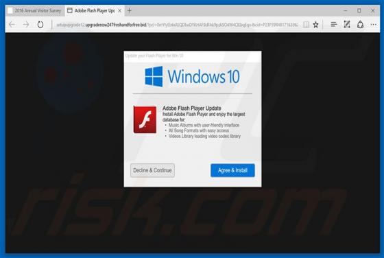 Adobe Flash Player Update Truffa