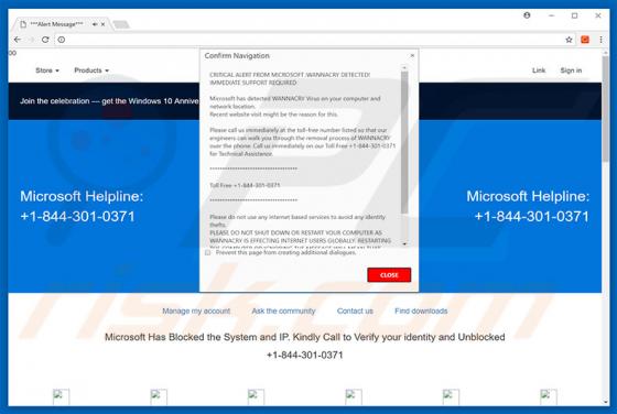 CRITICAL ALERT FROM MICROSOFT Truffa