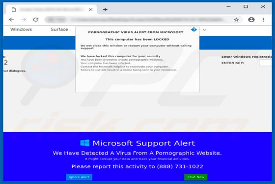 PORNOGRAPHIC VIRUS ALERT FROM MICROSOFT POP-UP Truffa