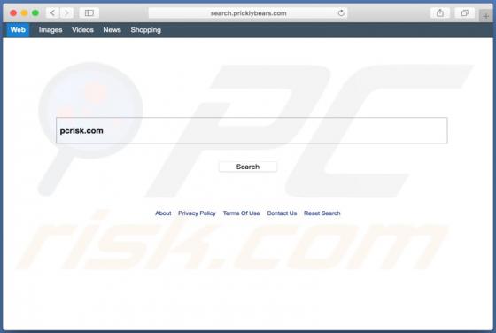 Search.pricklybears.com Dirottatore (Mac)